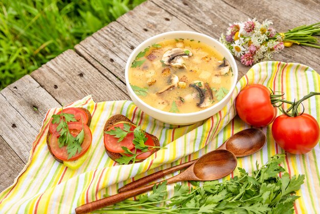 Soep met champignons en aardappelen in de natuur.