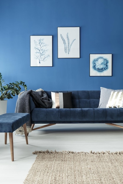 Photo sofa in blue room