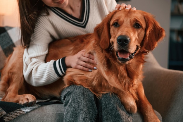 Foto sul divano insieme carino golden retriever è in camera domestica con la sua proprietaria bella giovane donna