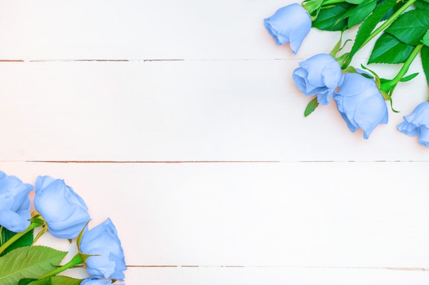 Soft blue roses on white wooden background