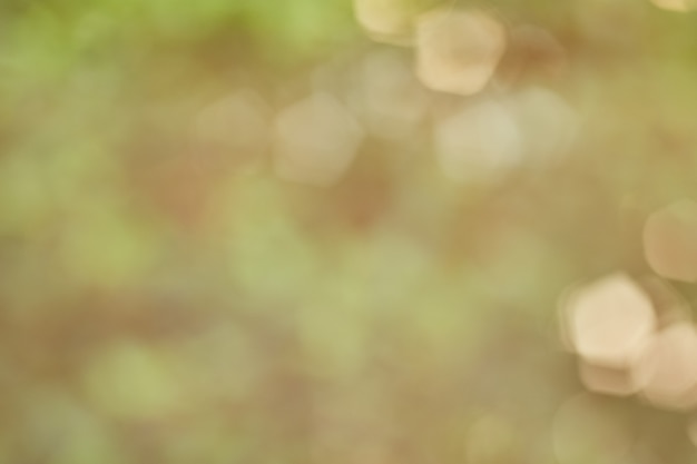 Photo soft blur sweet bokeh background