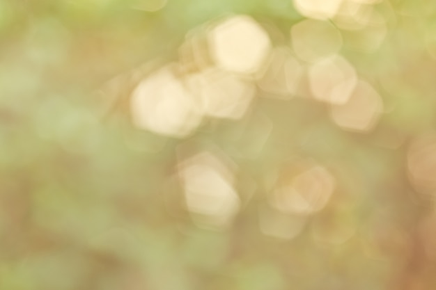 Photo soft blur sweet bokeh background