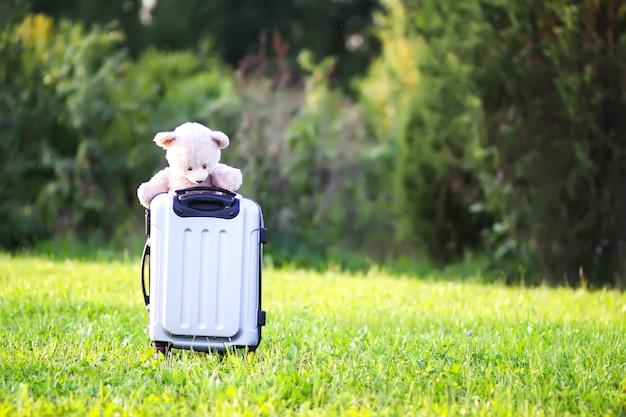 Soft children toy bear on travel bag on green summer meadow