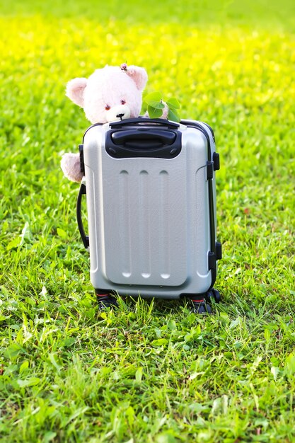 Soft children toy bear on travel bag on green summer meadow