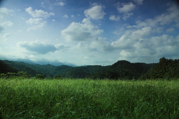 Soft Clouds and Blue Sky