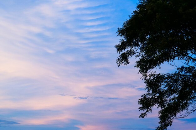 やわらかな雲と青い空