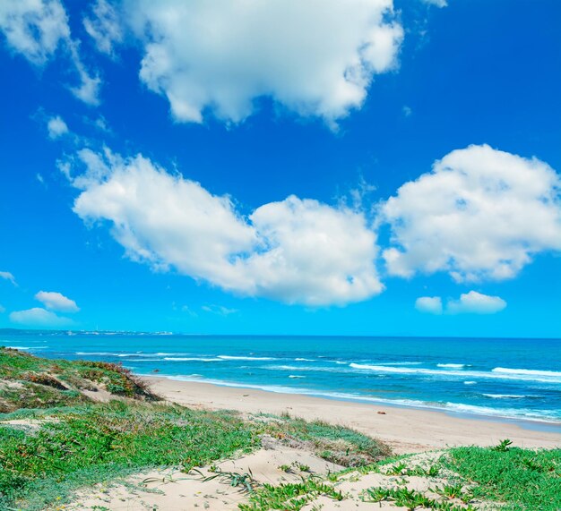 Soft clouds over Platamona beach Sardinia