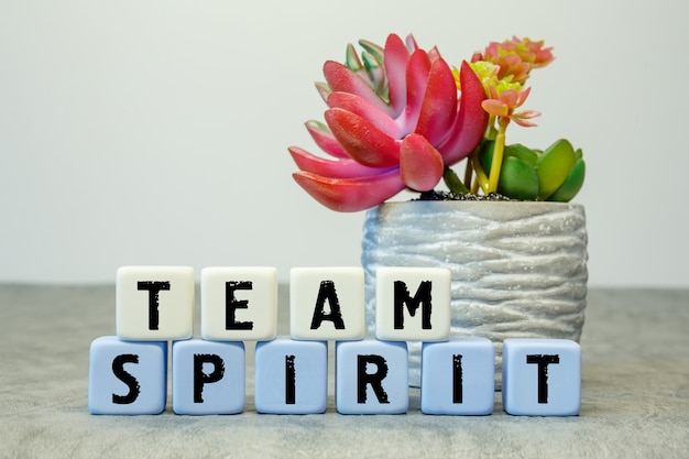 흰색 배경에 꽃이 있는 약어 TEAM SPIRIT가 있는 부드러운 큐브