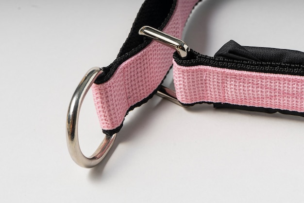 Soft everyday collar for large dogs