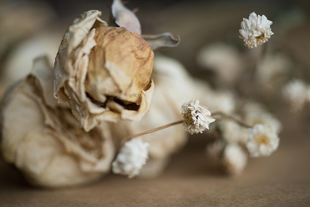 Soft fabric and dried flowers, Flowers on a bed, Rustic ribbon, Flowers tied with vintage rope