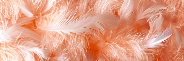 Soft Feather Texture CloseUp Peach Tones