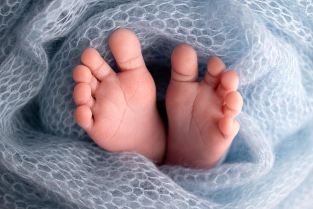 Soft feet of a newborn in a blue woolen blanket Closeup of toes heels and feet of a newborn babyThe tiny foot of a newborn Studio Macro photography Baby feet covered with isolated background