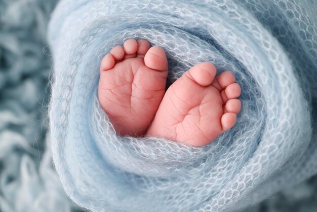 Soft feet of a newborn in a blue woolen blanket Closeup of toes heels and feet of a newborn babyThe tiny foot of a newborn Studio Macro photography Baby feet covered with isolated background