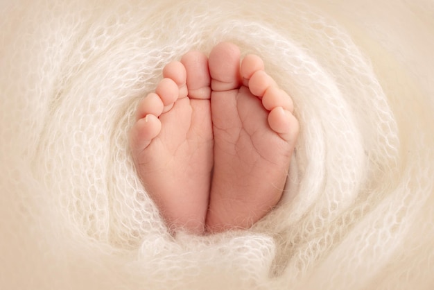 Soft feet of a newborn in a white woolen blanket closeup of\
toes heels and feet of a newborn baby the tiny foot of a newborn\
studio macro photography baby feet covered with isolated\
background