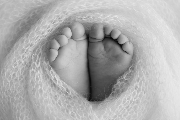 ウールの毛布で新生児の柔らかい足つま先のかかとと赤ちゃんの足のクローズアップ孤立した背景で覆われた新生児の赤ちゃんの足の小さな足白黒スタジオマクロ写真