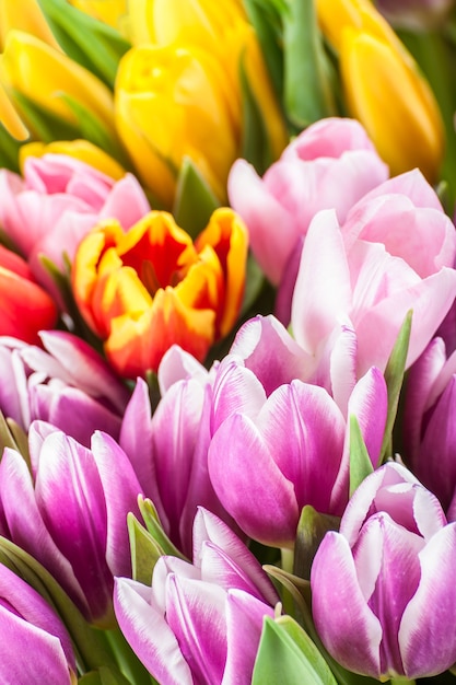 Soft floral surface with tulips, selective focus