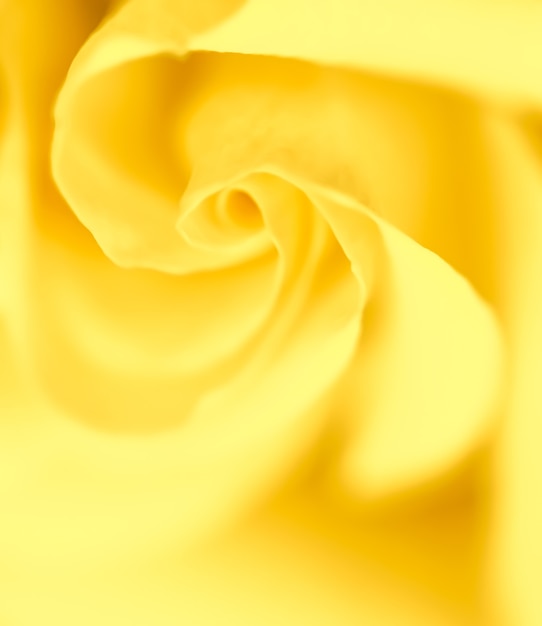 ソフトフォーカス抽象的な花の背景黄色いバラの花マクロ花の背景ホリデーブランドの背景