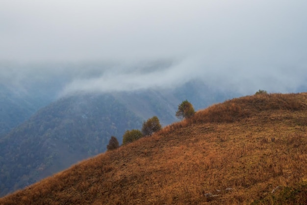 ソフト フォーカス 秋の草の岩の上の木のぼやけたシルエットと大気の霧の風景 雨の間の低い雲の中に 灰色の低い雲の雨のかすみでぼやけた大きな山々への劇的な眺め