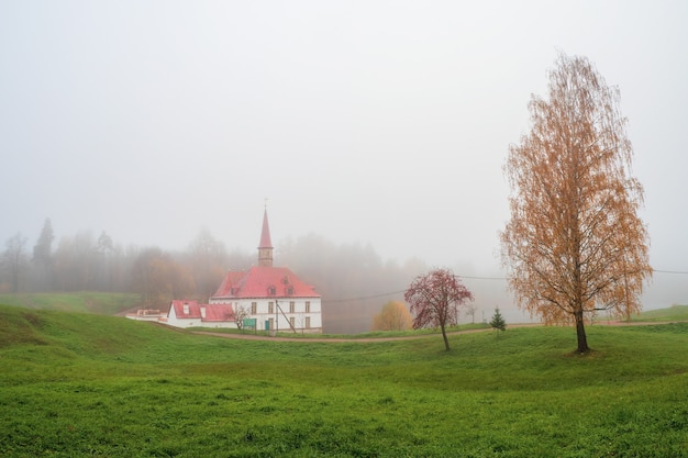 Soft focus. Autumn foggy morning landscape. Bright autumn foggy landscape with golden trees and old Palace. State Museum Reserve Gatchina. Russia.