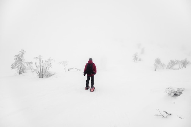 Soft focus. Lonely traveler with backpack on snowshoes walks along a snowy slope in a foggy frost shroud. Severe northern weather, poor visibility. Polar expedition. Copy space.