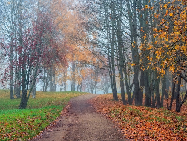 Soft focus. Mystical autumn landscape with morning fog and empty path in the park.