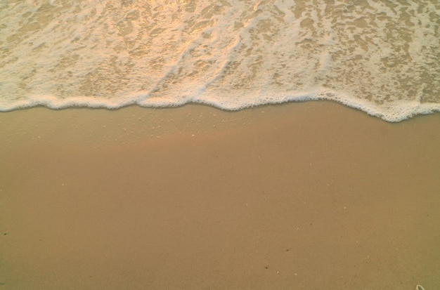 사진 여름 시간에 햇빛이 비치는 조개 조각으로 해변에서 파도의 부드러운 초점 자연