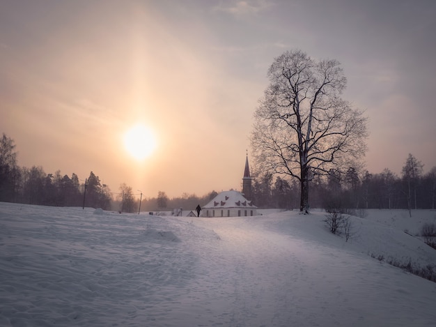 Focalizzazione morbida. mattina soleggiata inverno gelido paesaggio con il vecchio palazzo maltese in un bellissimo paesaggio naturale. gatchina. russia.