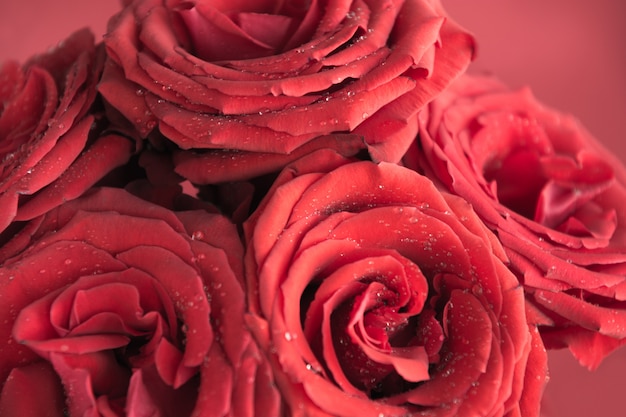 Мягкие полноценные красные розы как. Цветочный узор.