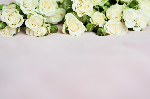 Photo soft pink background with small white roses for wallpaper and holiday cards