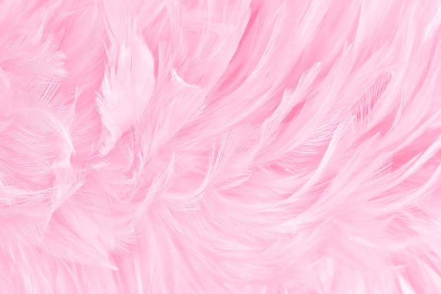 Photo soft pink bird feathers pattern texture background