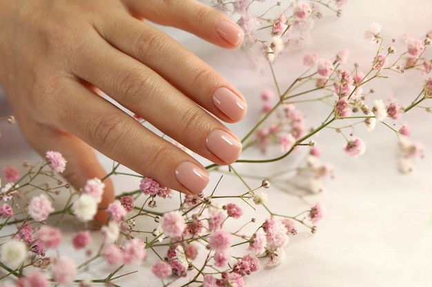 Foto manicure rosa tenue su unghie corte con gipsofila.