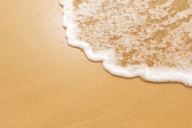 Soft sea wave on the golden sand.