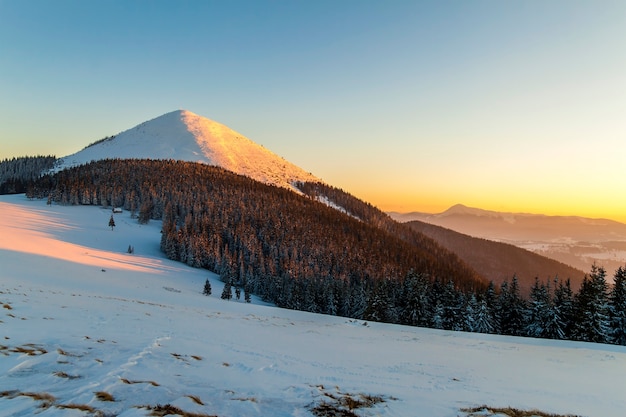 Soft sunset in winter snow covered Carpathian mountains