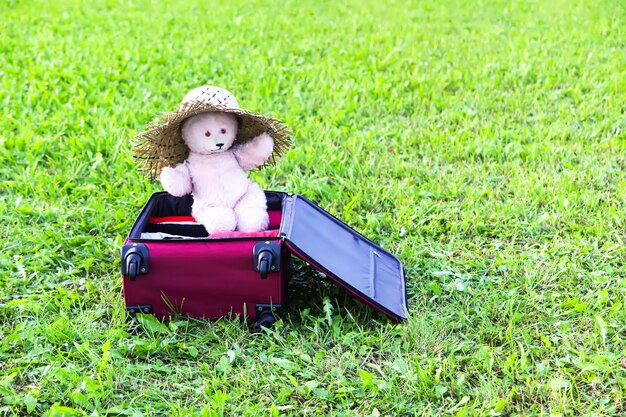 Soft toy bear in a summer hat in opened travel bag with clothes on green summer meadow