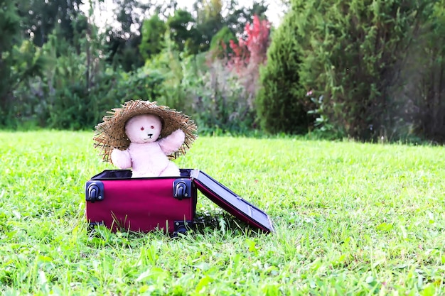 푸른 여름 초원에 옷이 있는 열린 여행 가방에 여름 모자를 쓴 부드러운 장난감 곰