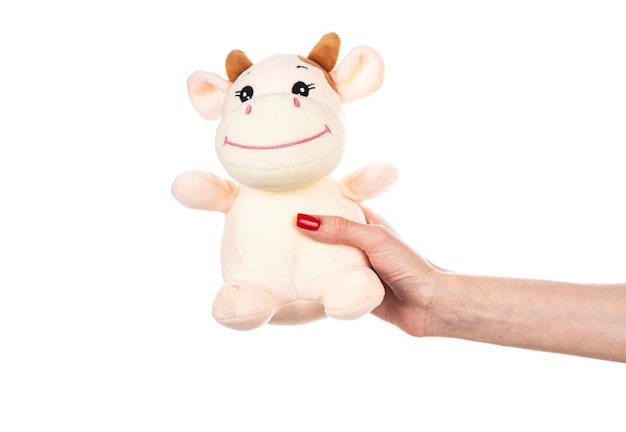 Soft toy cow in hand isolated on white background