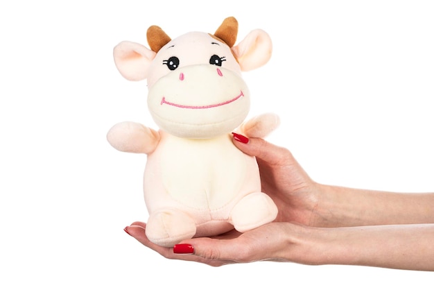 Soft toy cow in hand isolated on white background
