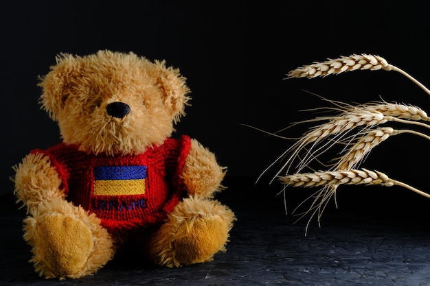 Soft toy and ears wheat on black background bear in red jacket with flag Ukraine depicted on it