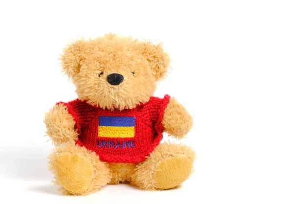 Soft toy on a white background bear red jacket with flag Ukraine depicted on it