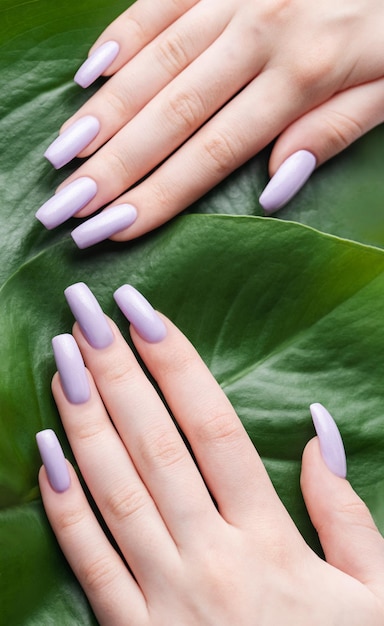 Soft violet female manicure with monstera leaf