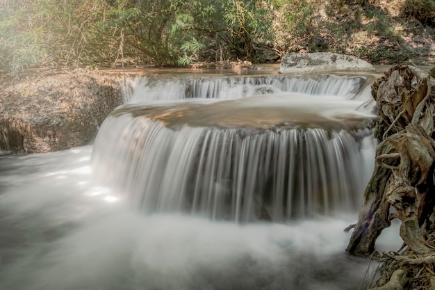 写真 自然の強迫観念の中の軟水が誘う