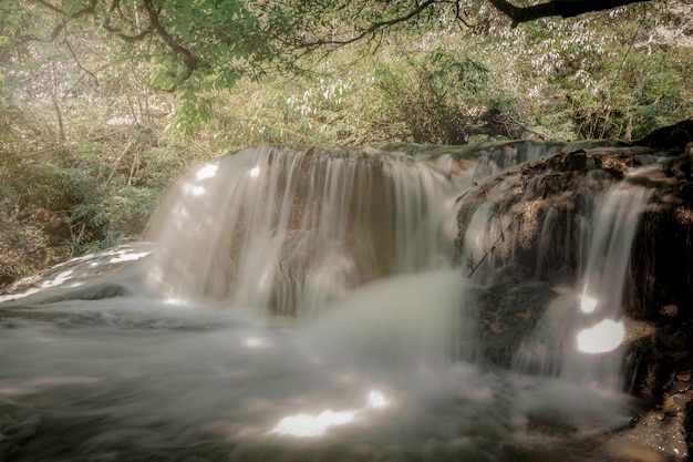 写真 自然の強迫観念に誘う軟水