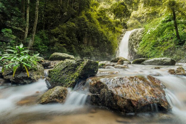 Soft water of the stream in the natural park, Beautiful waterfall in rain forest 