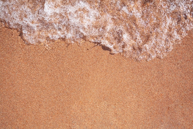 A soft wave runs on a sandy shore on a summer day. Empty space can be used as background