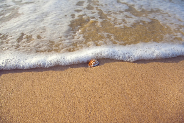 모래 bBeach에 부드러운 파도