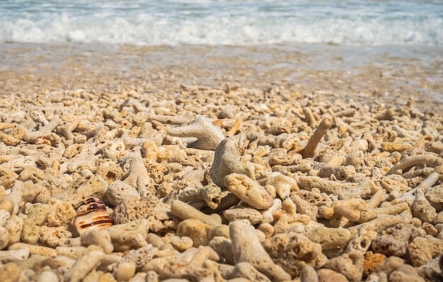 Soft wave of the sea on the sandy beach with dead corals. White foam waves of the sea covering the coral beach