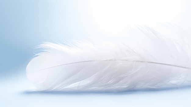 Soft white feather on a blue background