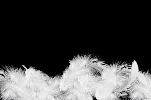 Soft white feathers background