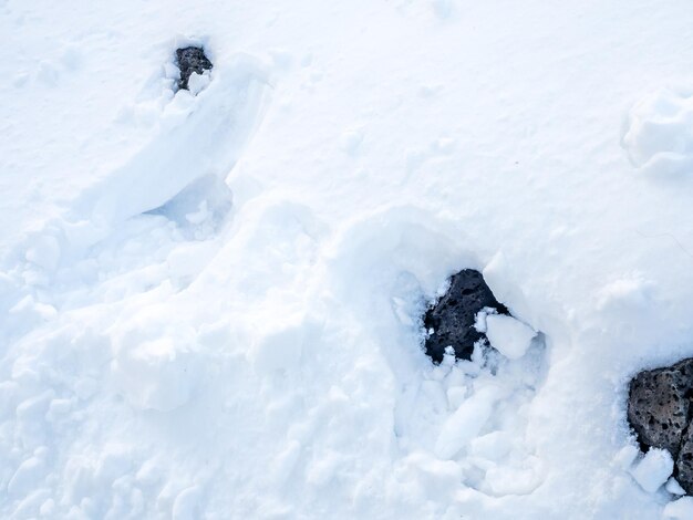 背景の地面に柔らかい白い雪