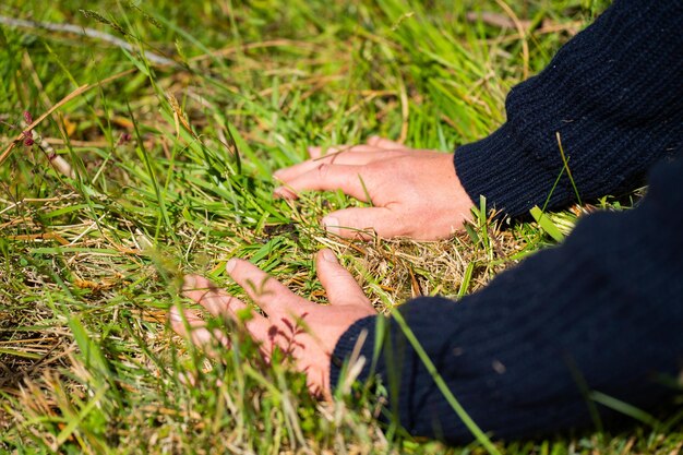 Foto agronomia del suolo in una fattoria in australia in primavera